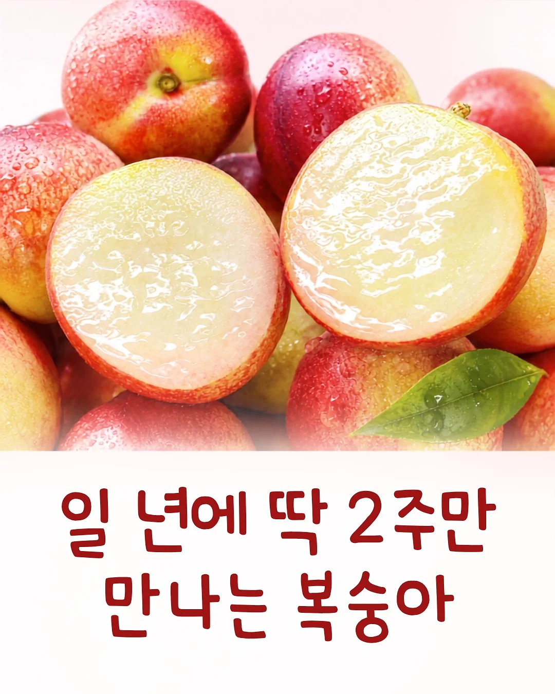 원피스 1