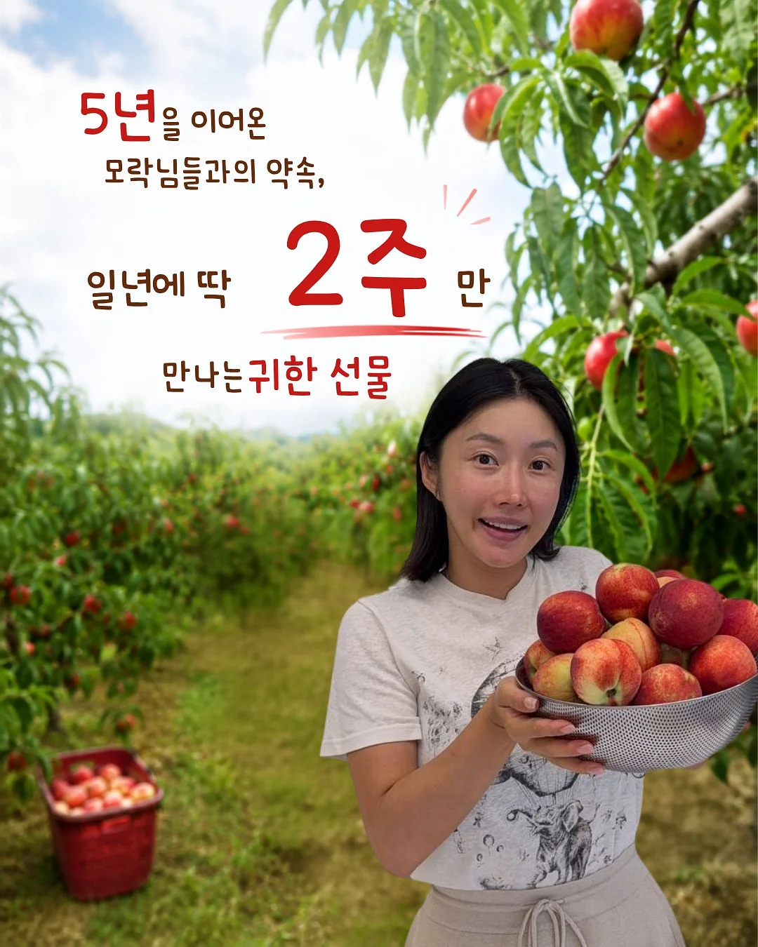 원피스 2