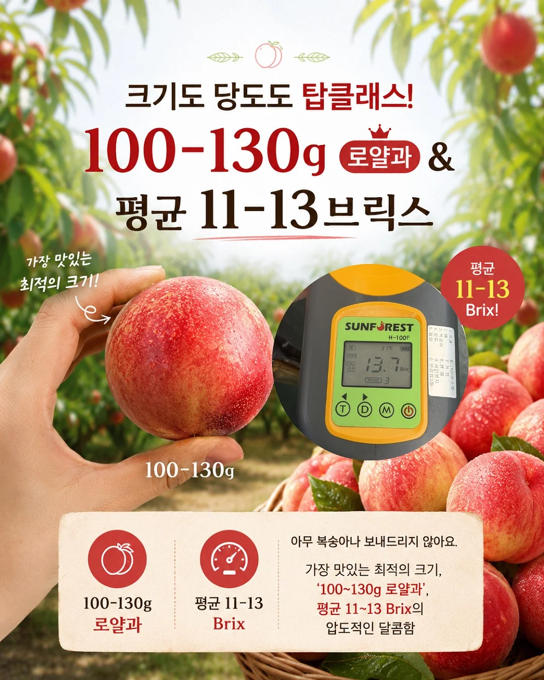 원피스 3