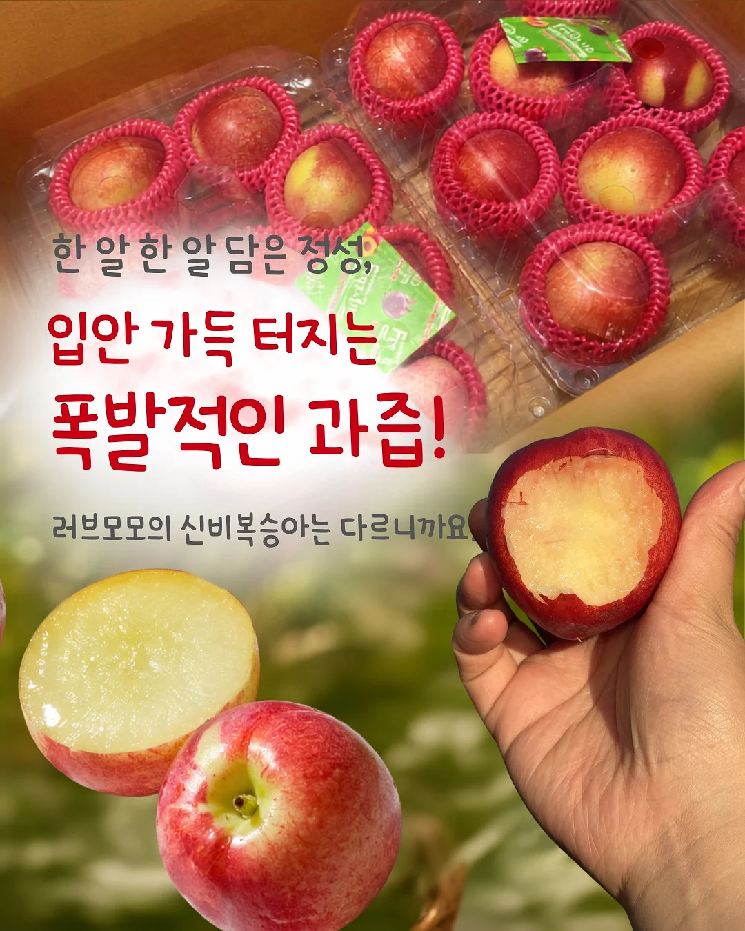 원피스 4