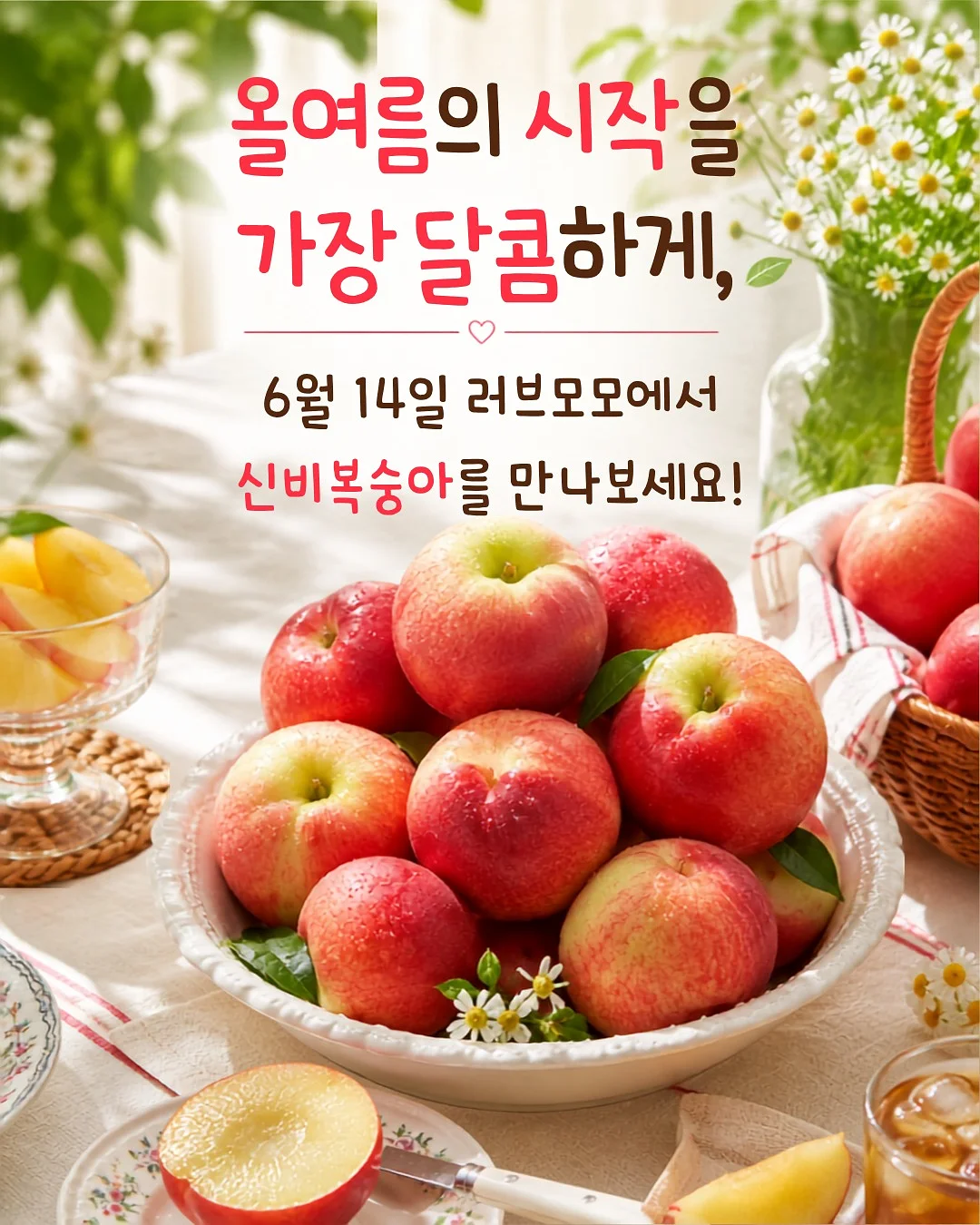 원피스 5