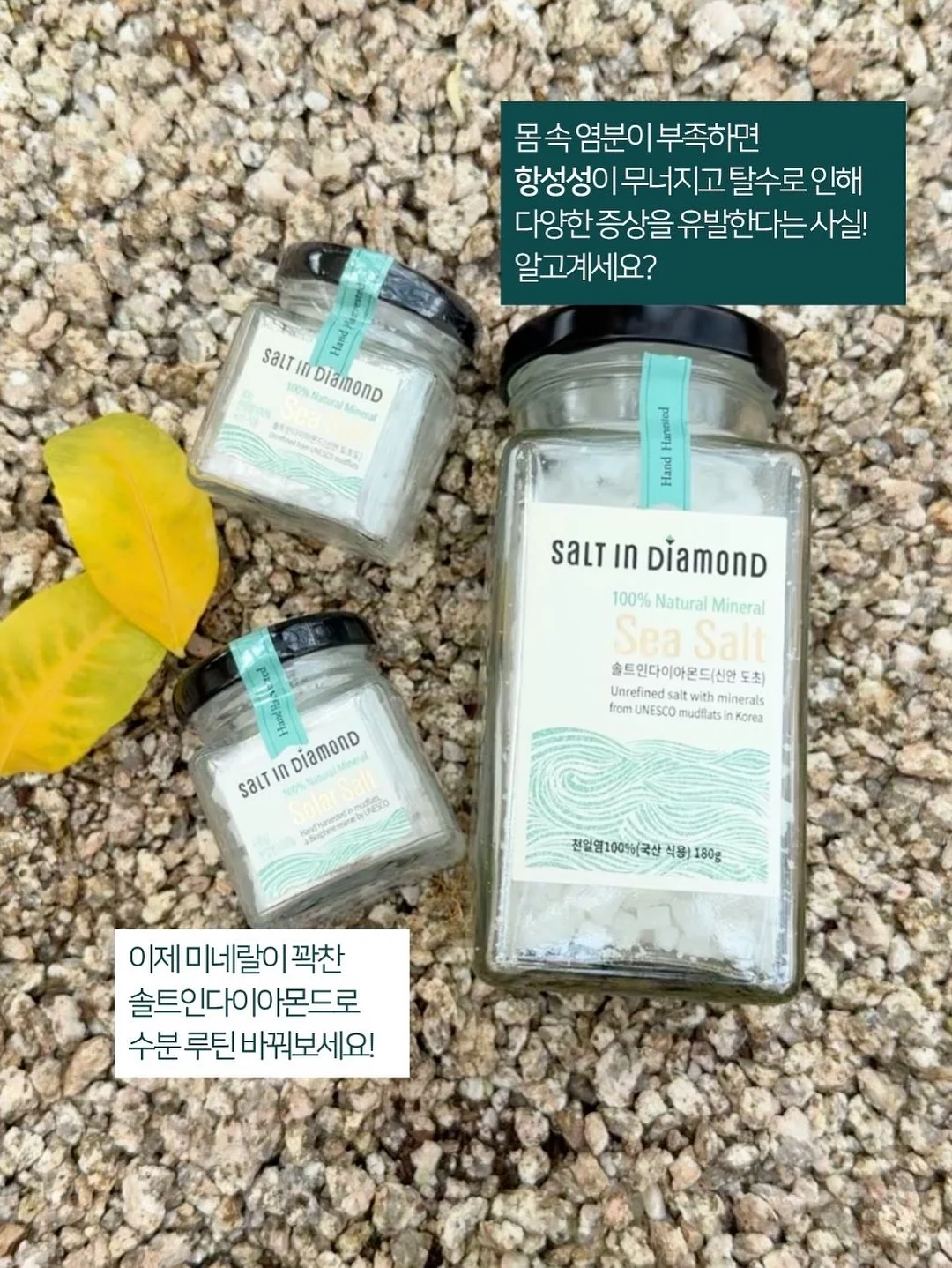 페이트 스테이나이트 마우스+마우스 패드 파우치 셋트 8