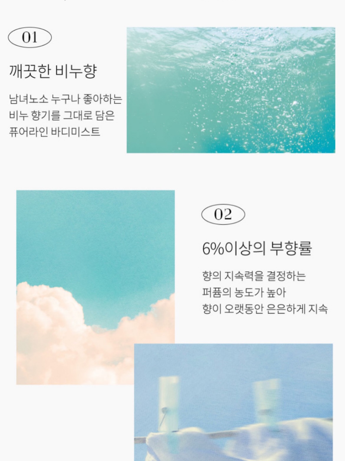 사파리 불빛 그림책 9