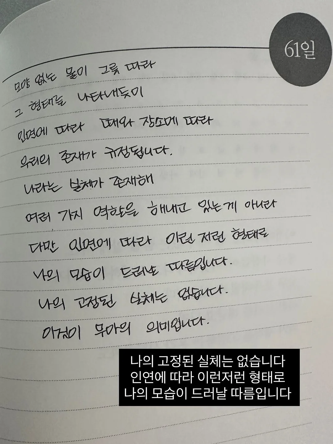 키즈 면역 영양제 13