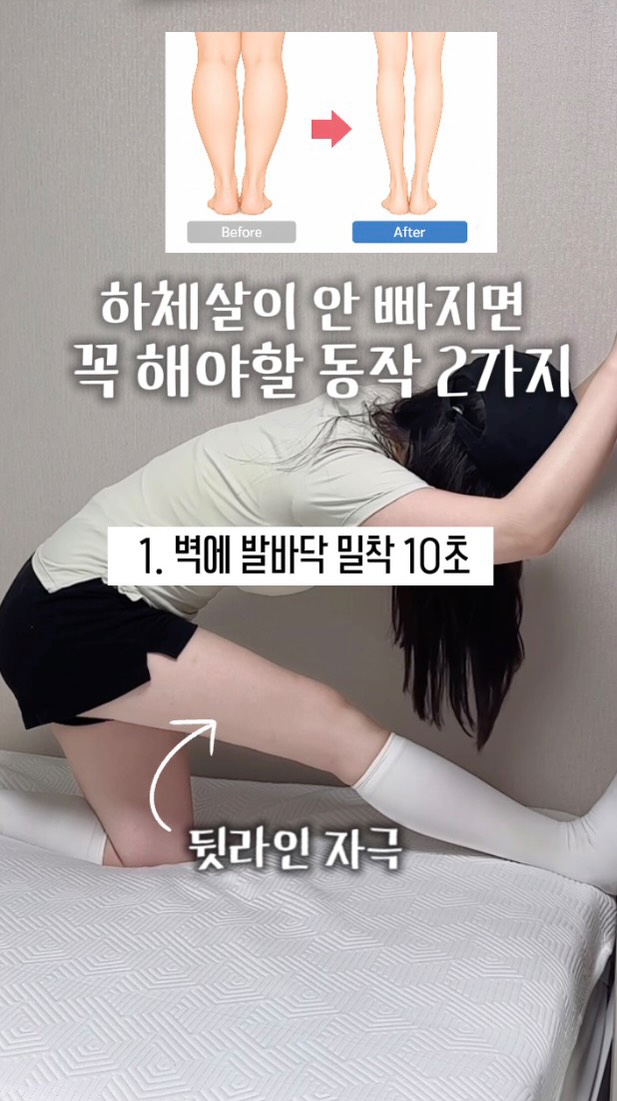 싸이벡스 레모 러닝타워
