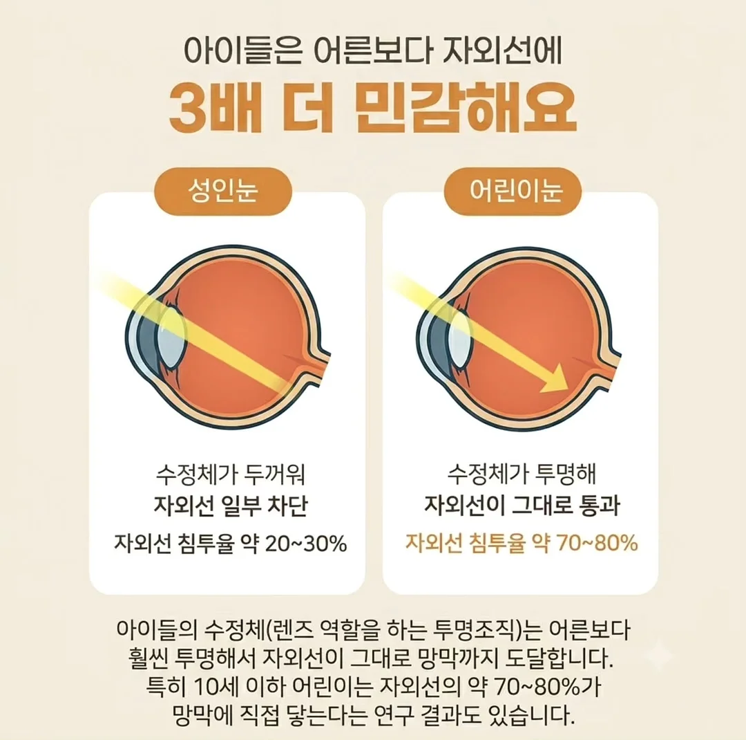 하이엔드 인테리어 꿀템 2