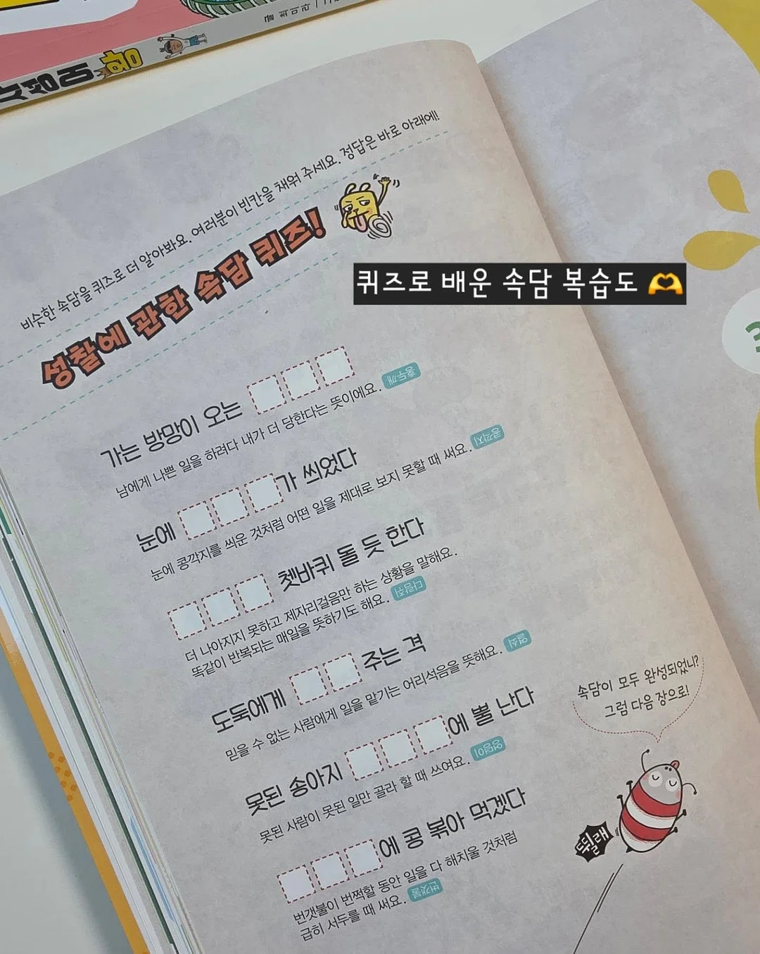 반려견 용품 72번 11