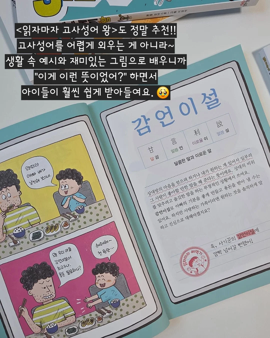 반려견 용품 72번 13