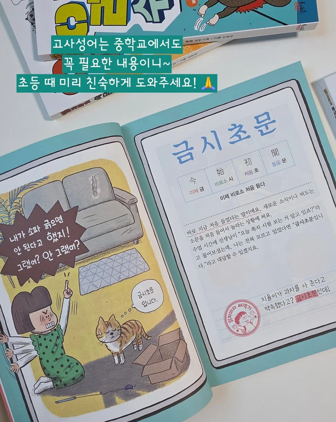 반려견 용품 72번 15