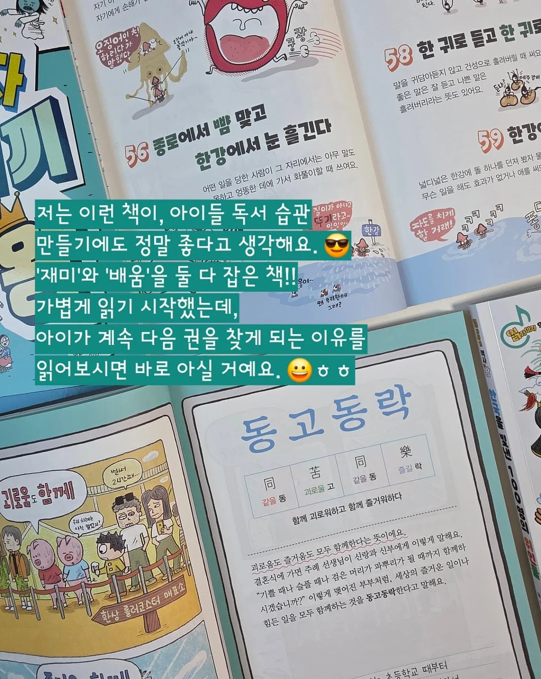 반려견 용품 72번 20