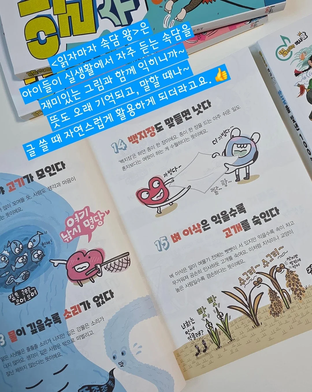 반려견 용품 72번 8