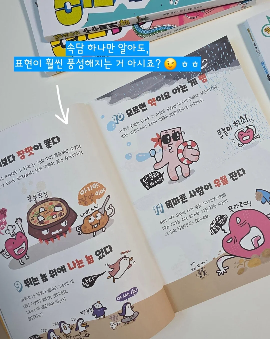 반려견 용품 72번 9