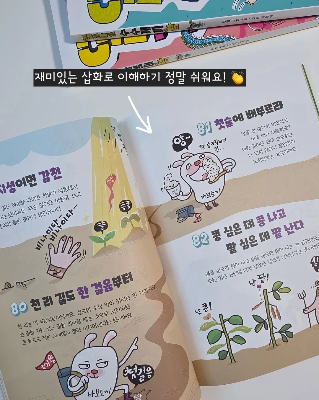 반려견 용품 72번 10