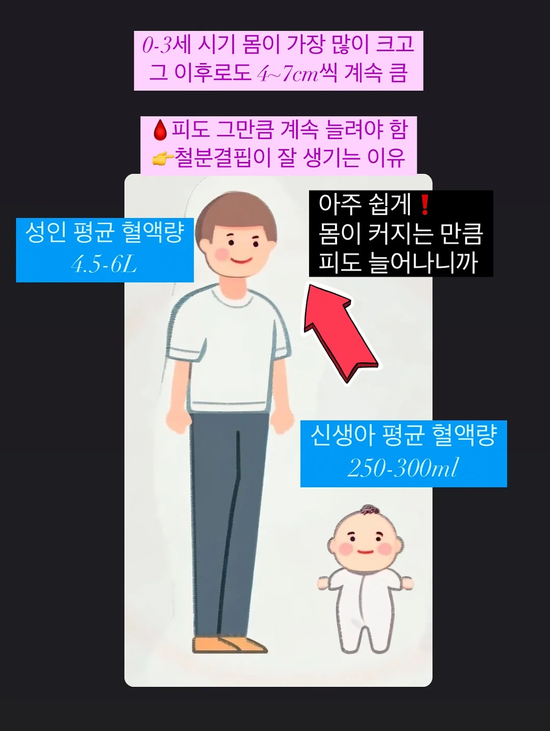 웨딩밴드 5