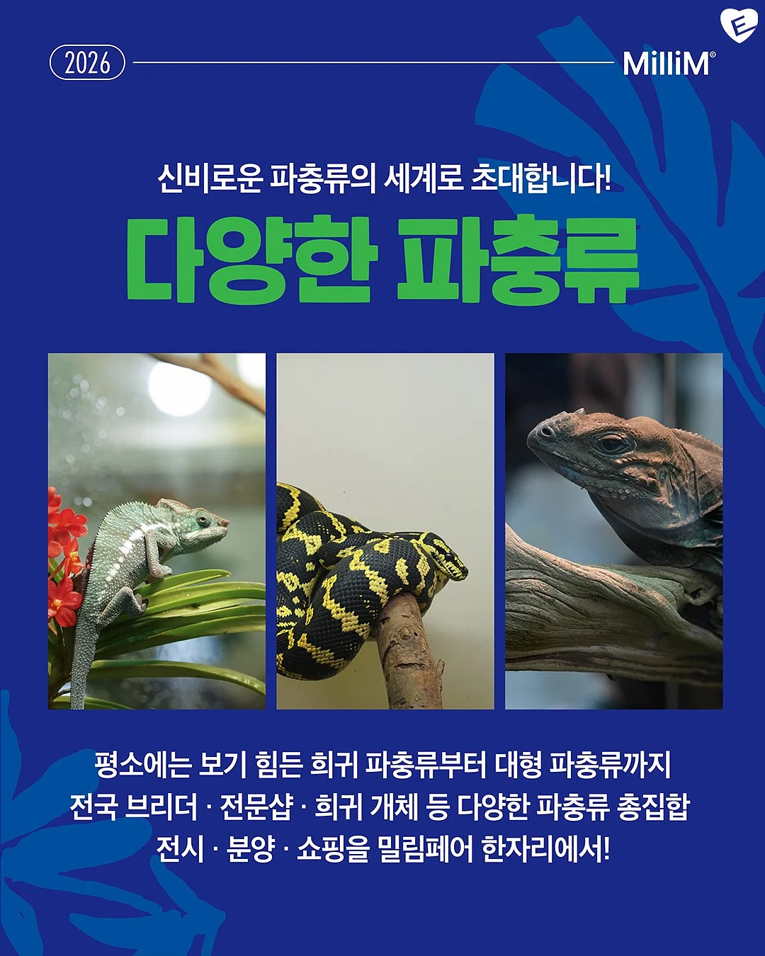 셀프 슬라이딩 도어 5