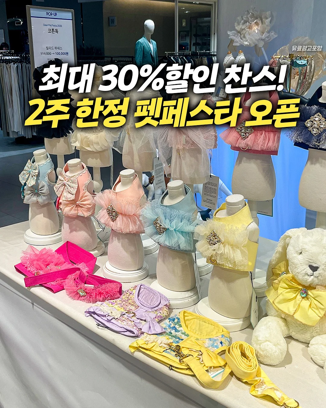 서포트 도시락 1