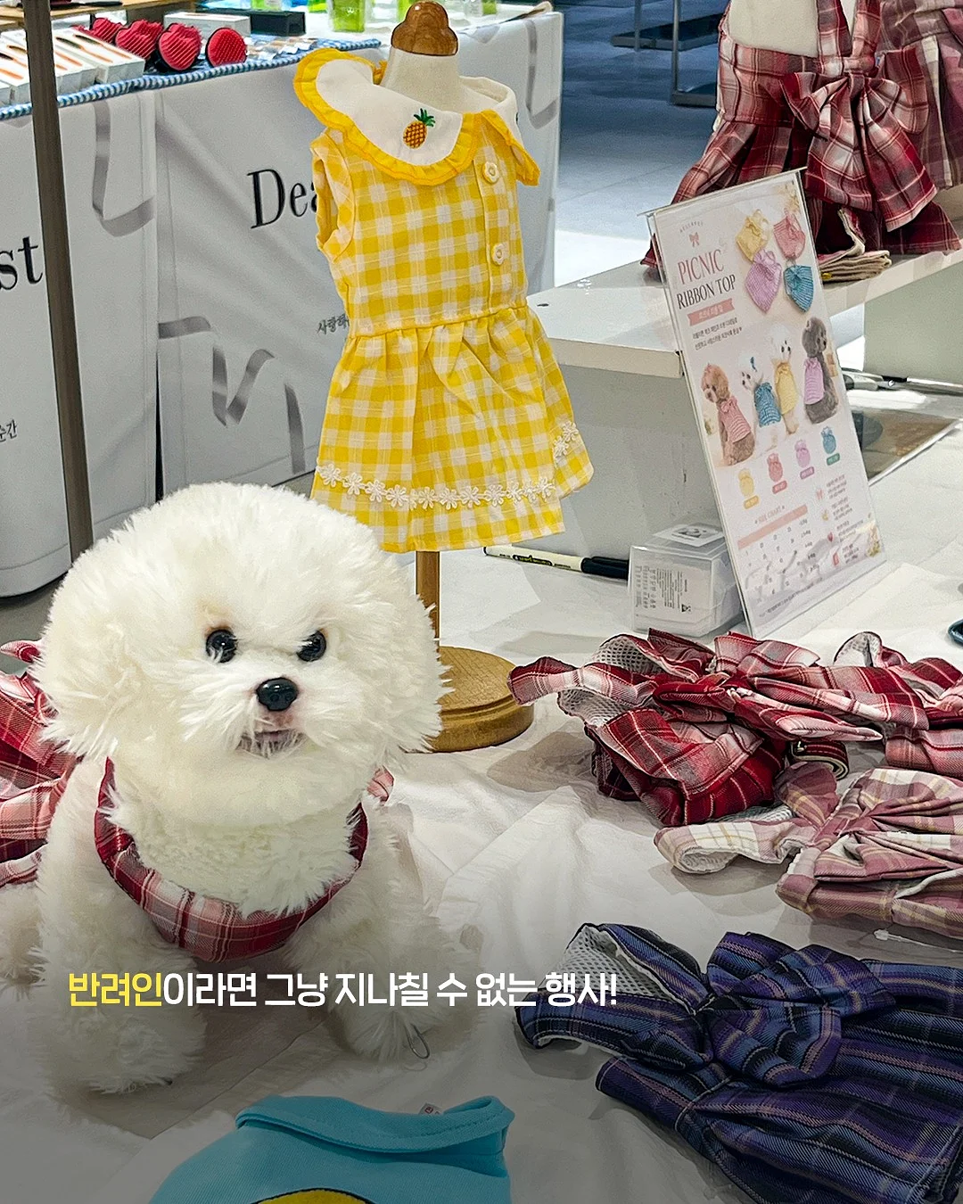 서포트 도시락 2