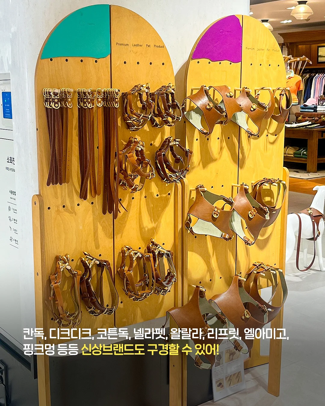 서포트 도시락 5