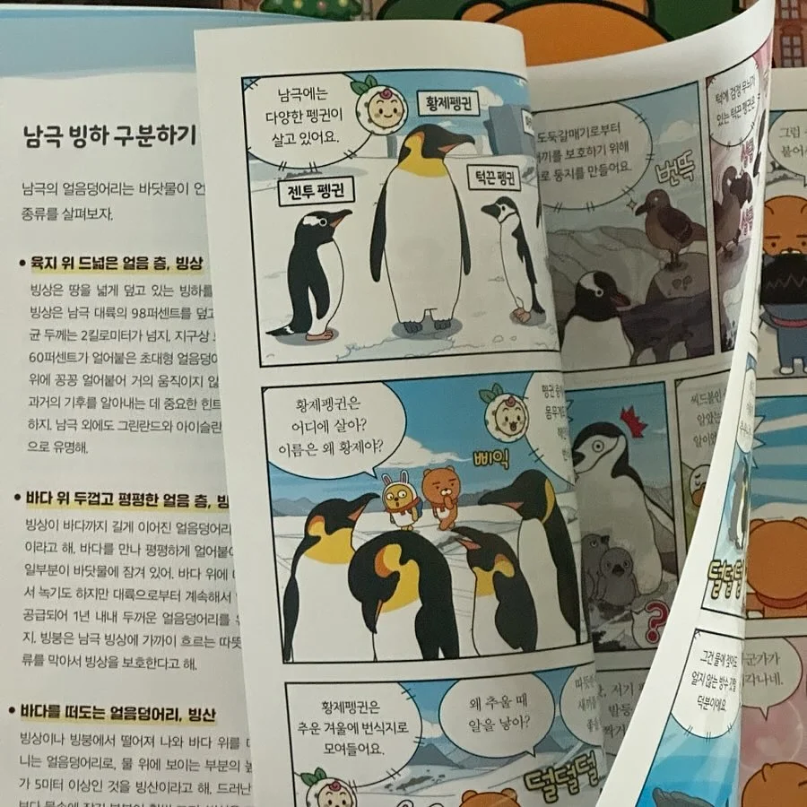 앤헤이즈 루틴핏 삭스 15