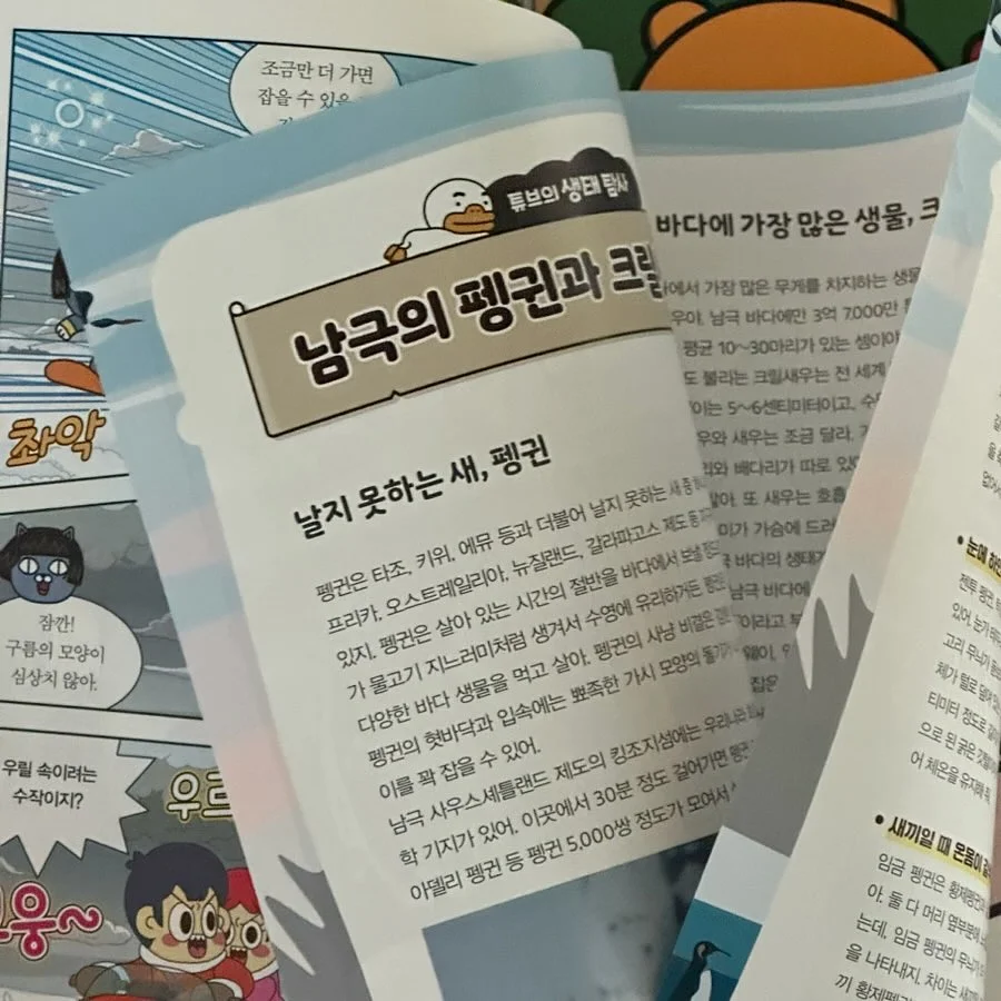 앤헤이즈 루틴핏 삭스 16