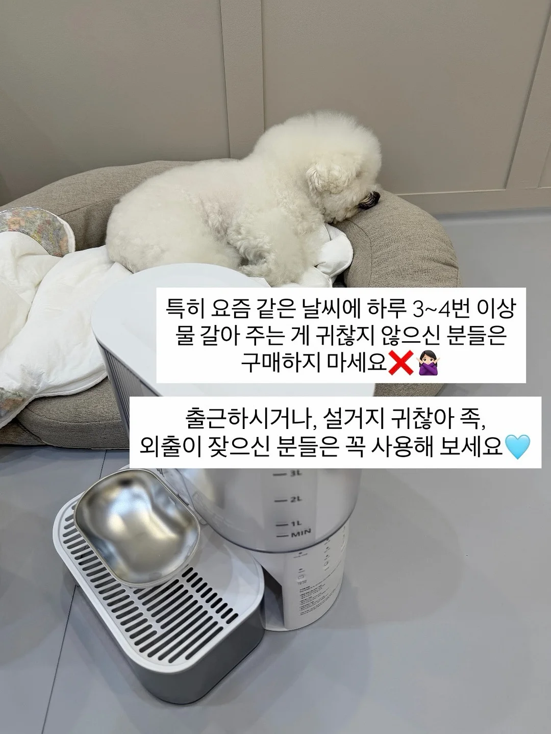 댄싱웨일 클렌징 오일 3