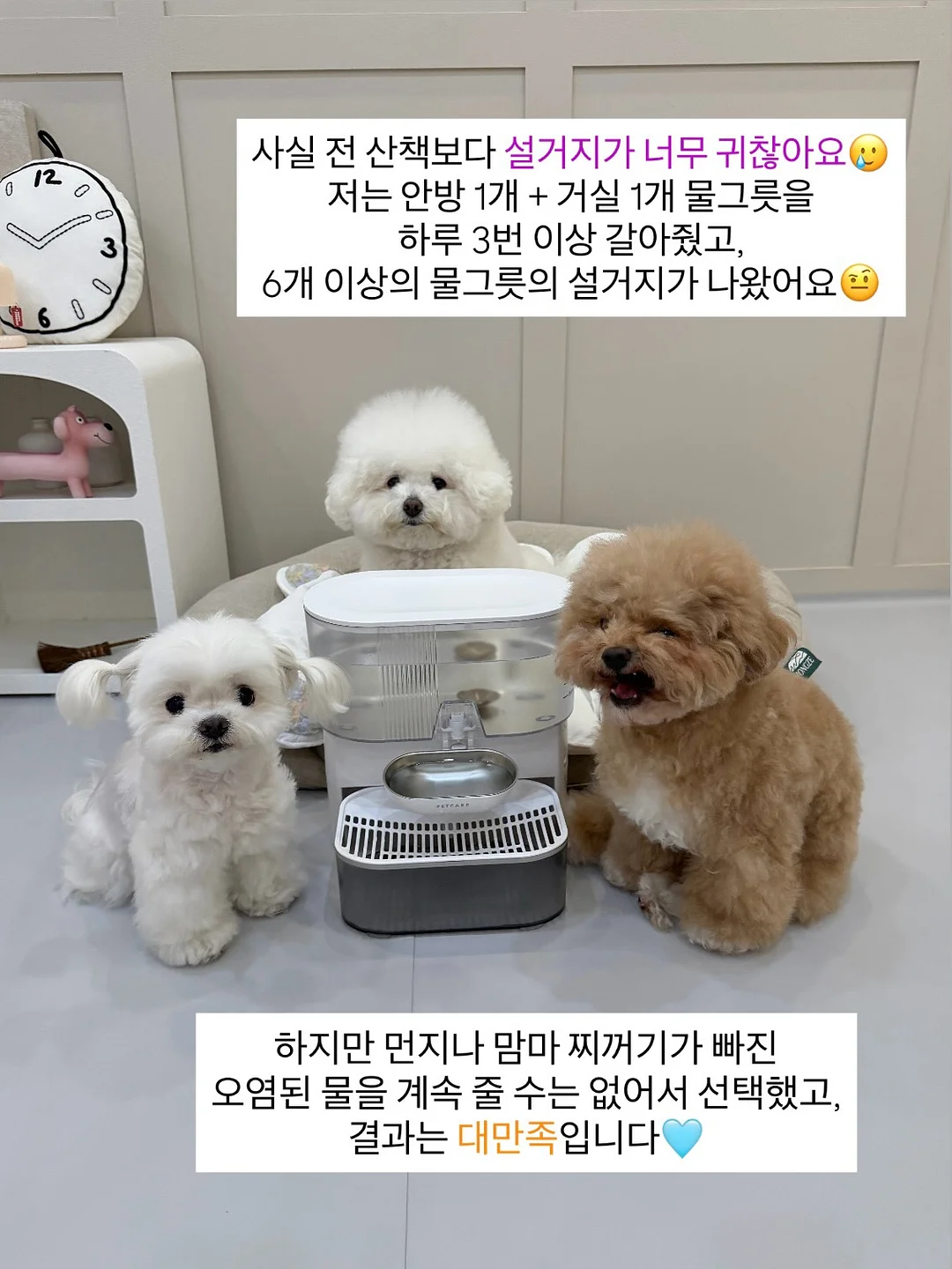 댄싱웨일 클렌징 오일 4