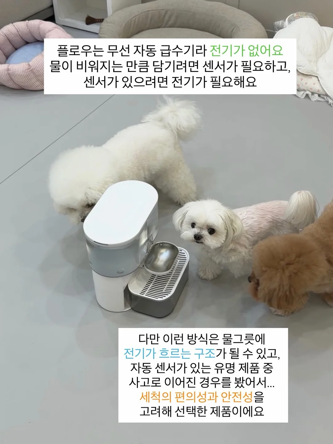 댄싱웨일 클렌징 오일 8