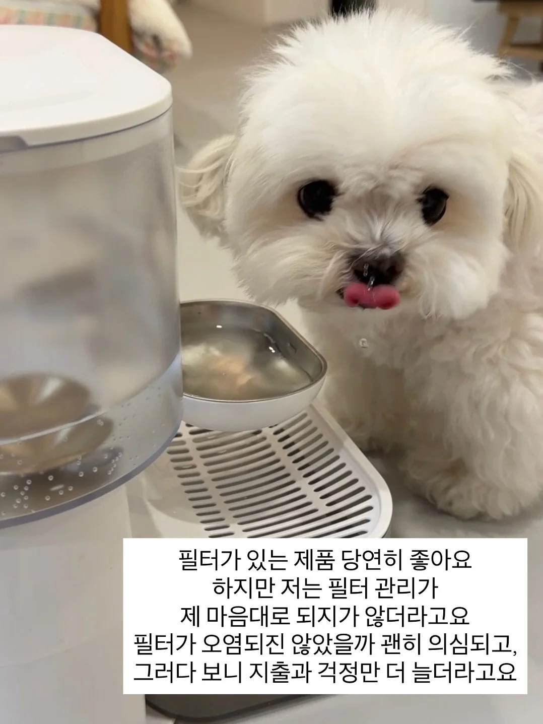 댄싱웨일 클렌징 오일 9