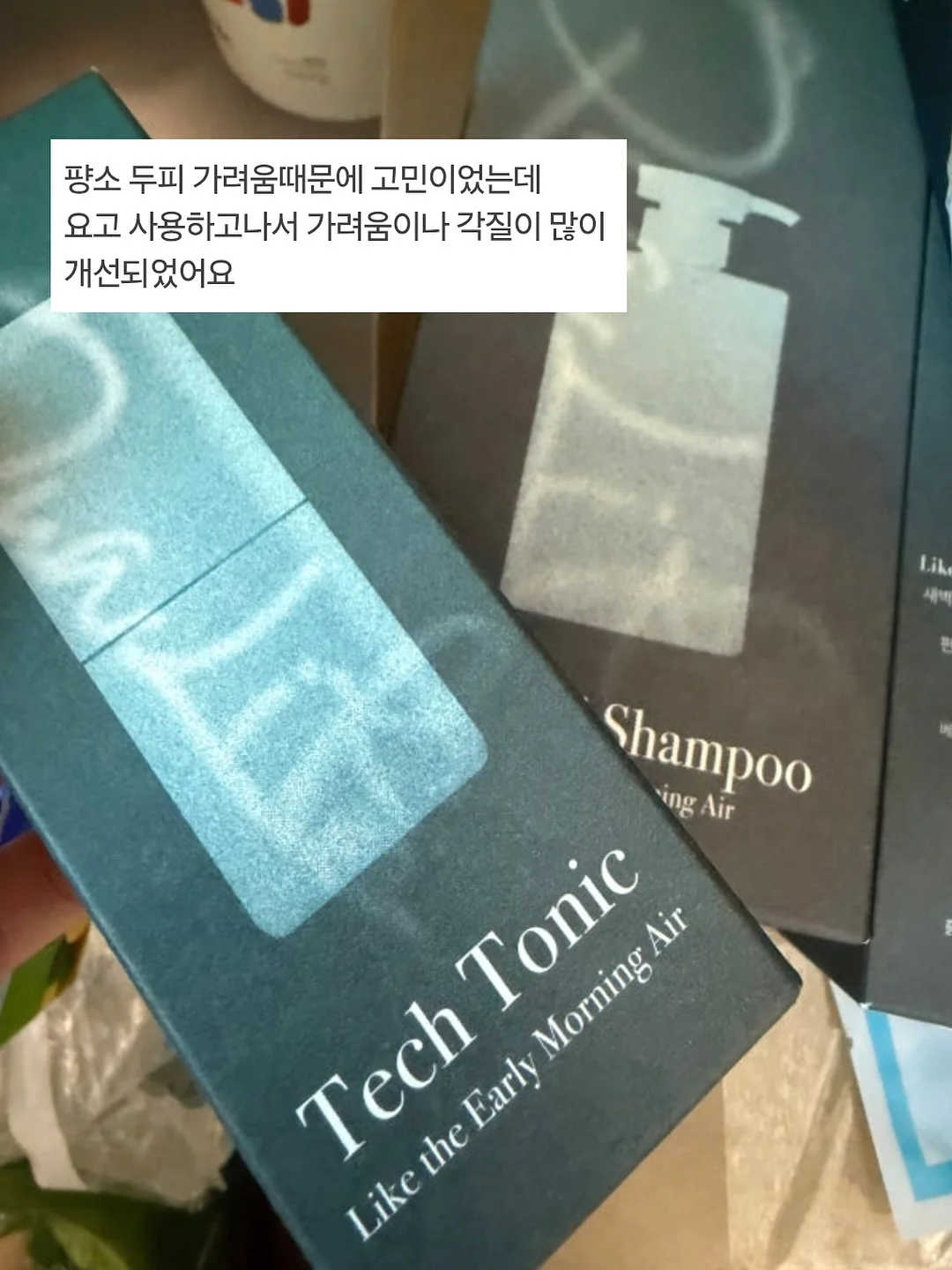 알론느 셔츠 10