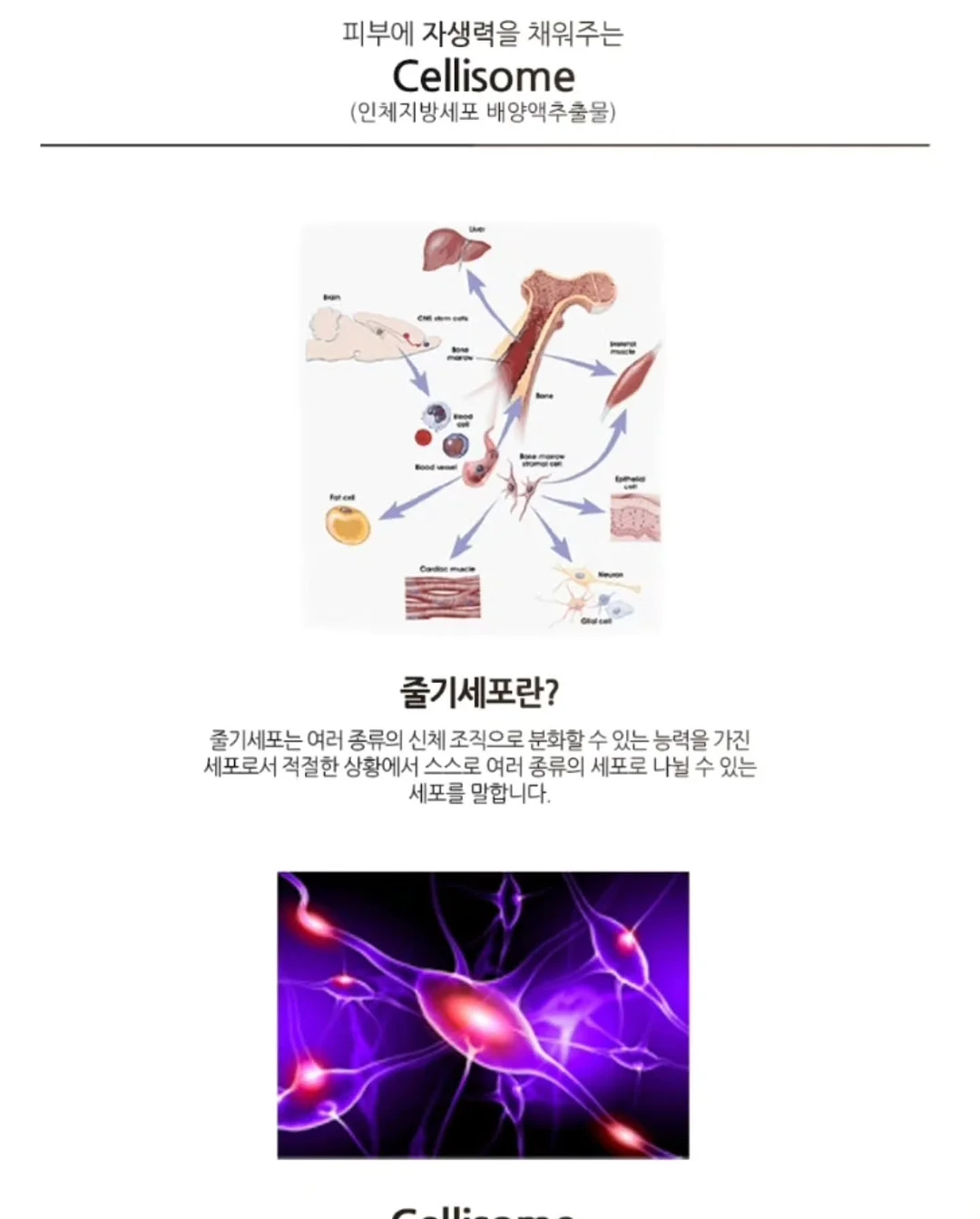 다이노 키링 8