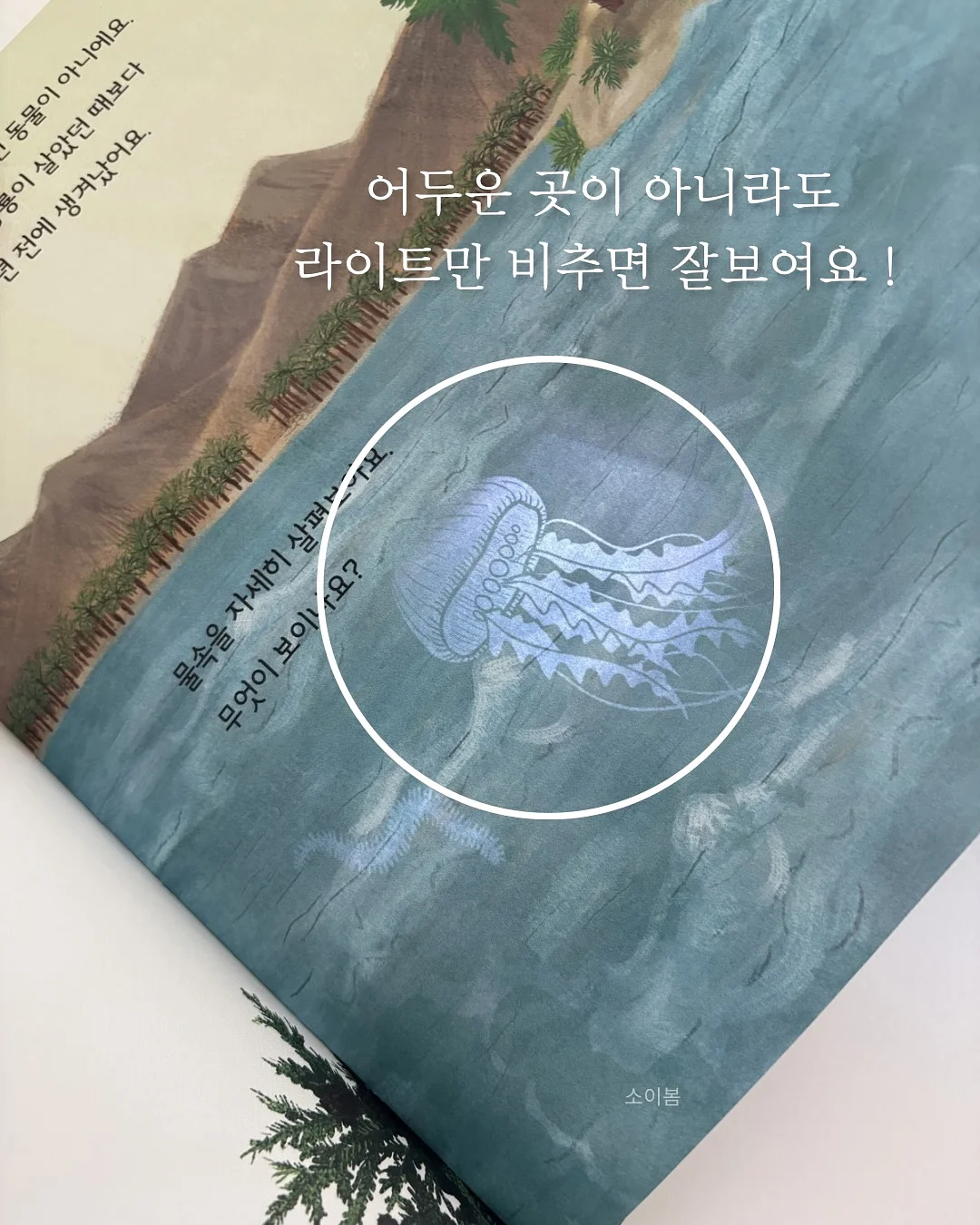 엘리몰리 아동복 3