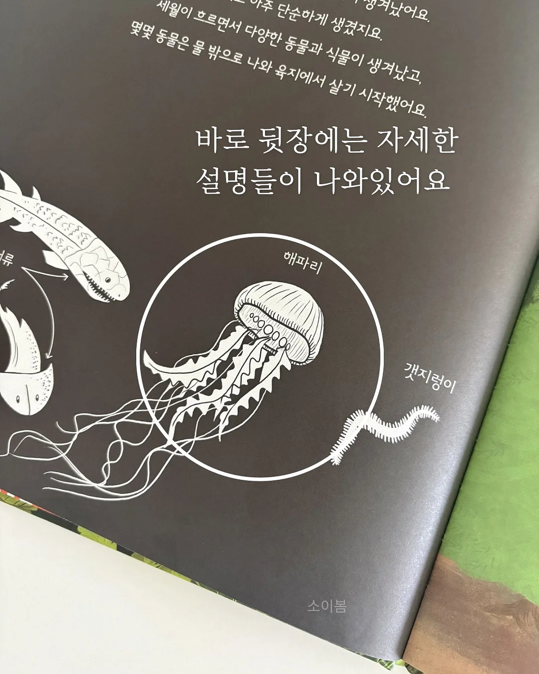 엘리몰리 아동복 4