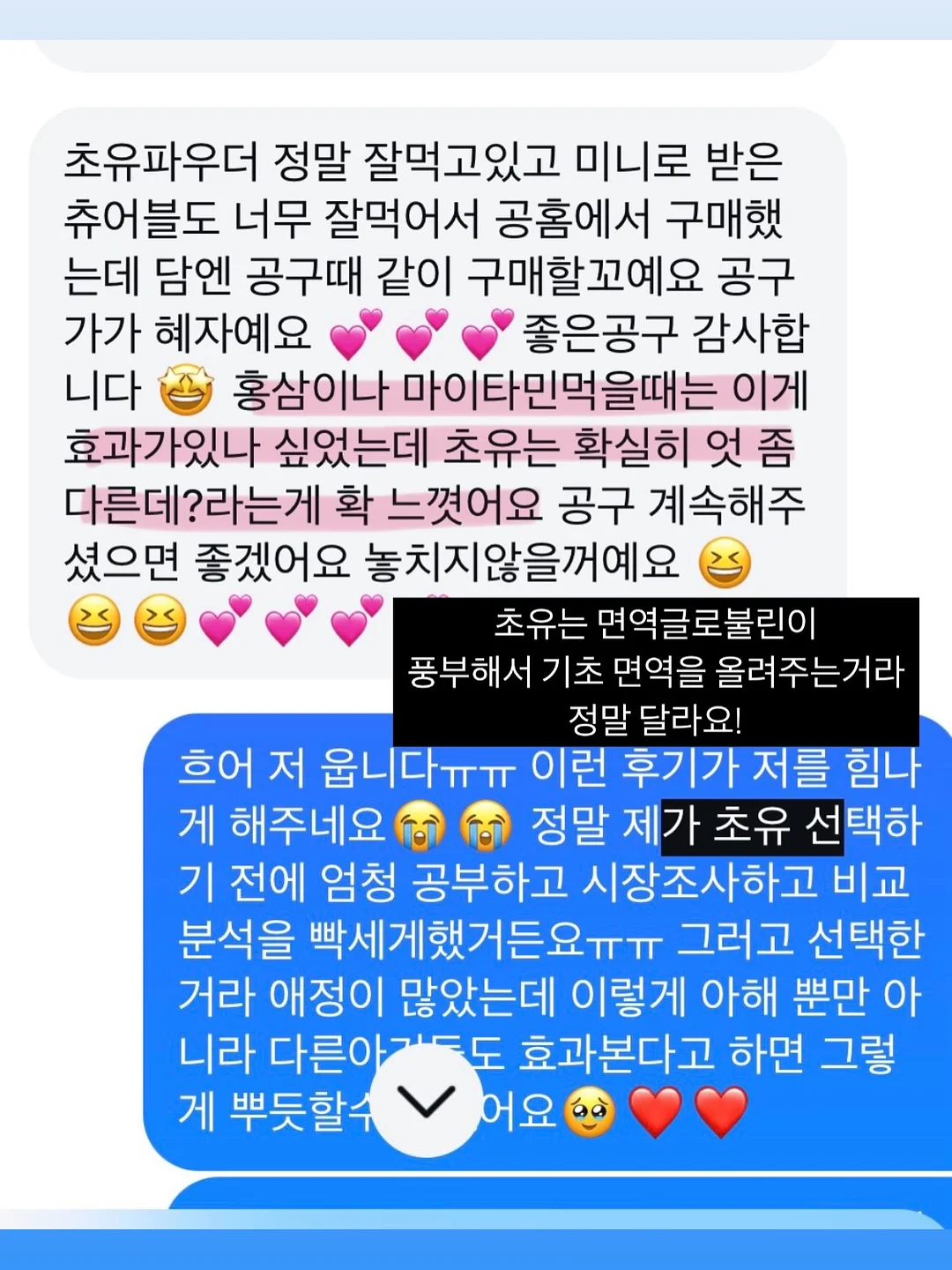 저당 고추장 제육 11