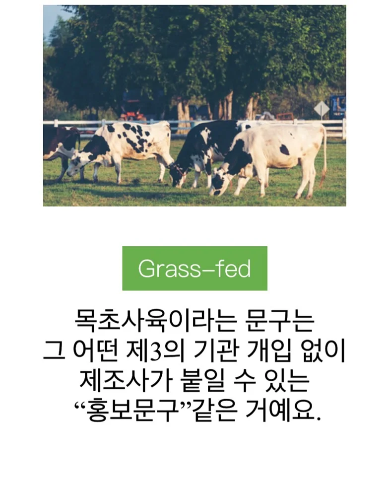모공 프라이머 쿠션 2