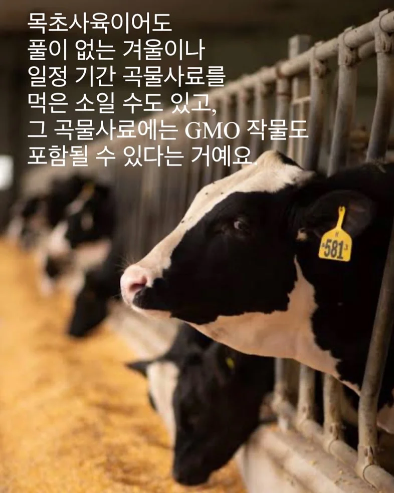 모공 프라이머 쿠션 3