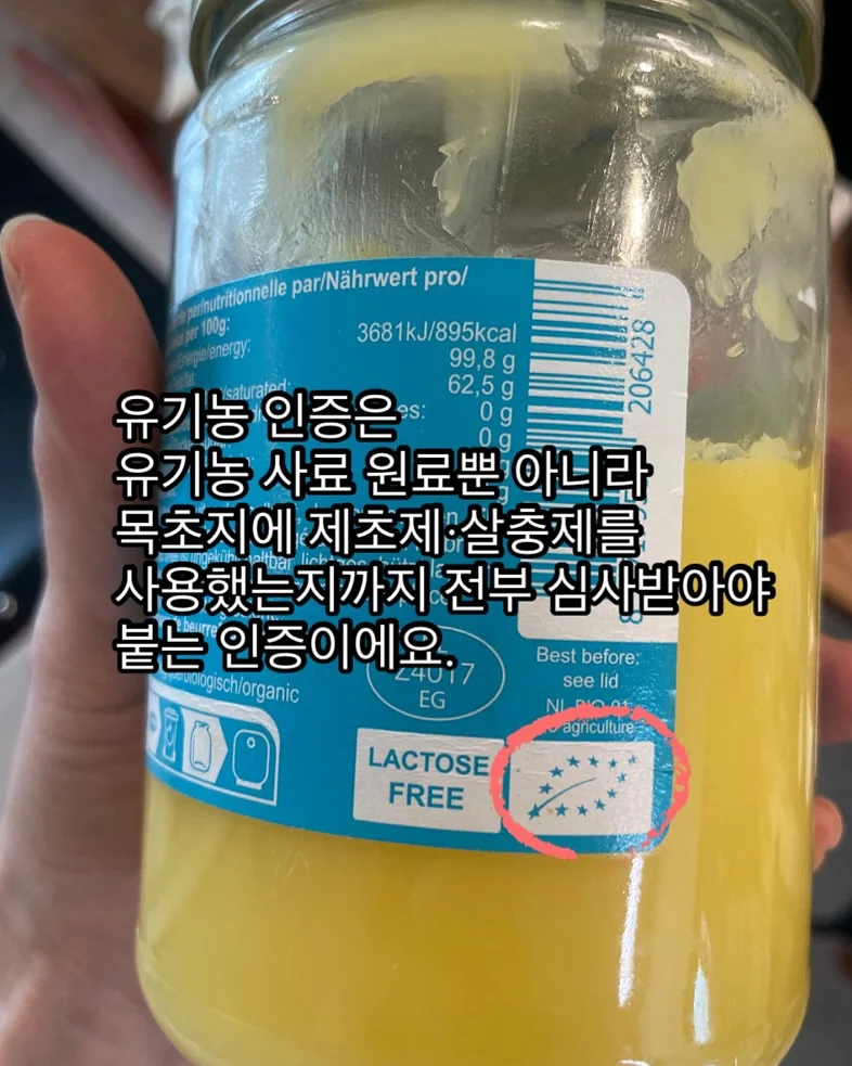 모공 프라이머 쿠션 5