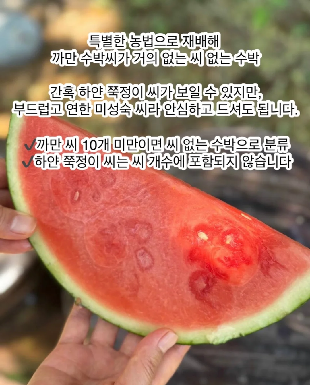 폴로 랄프로렌 자수로고 와플 니트 2