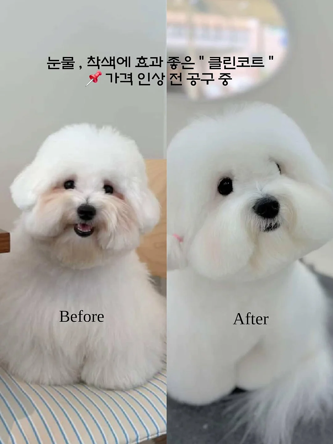 브리델 버터 쇼트브레드 쿠키 1