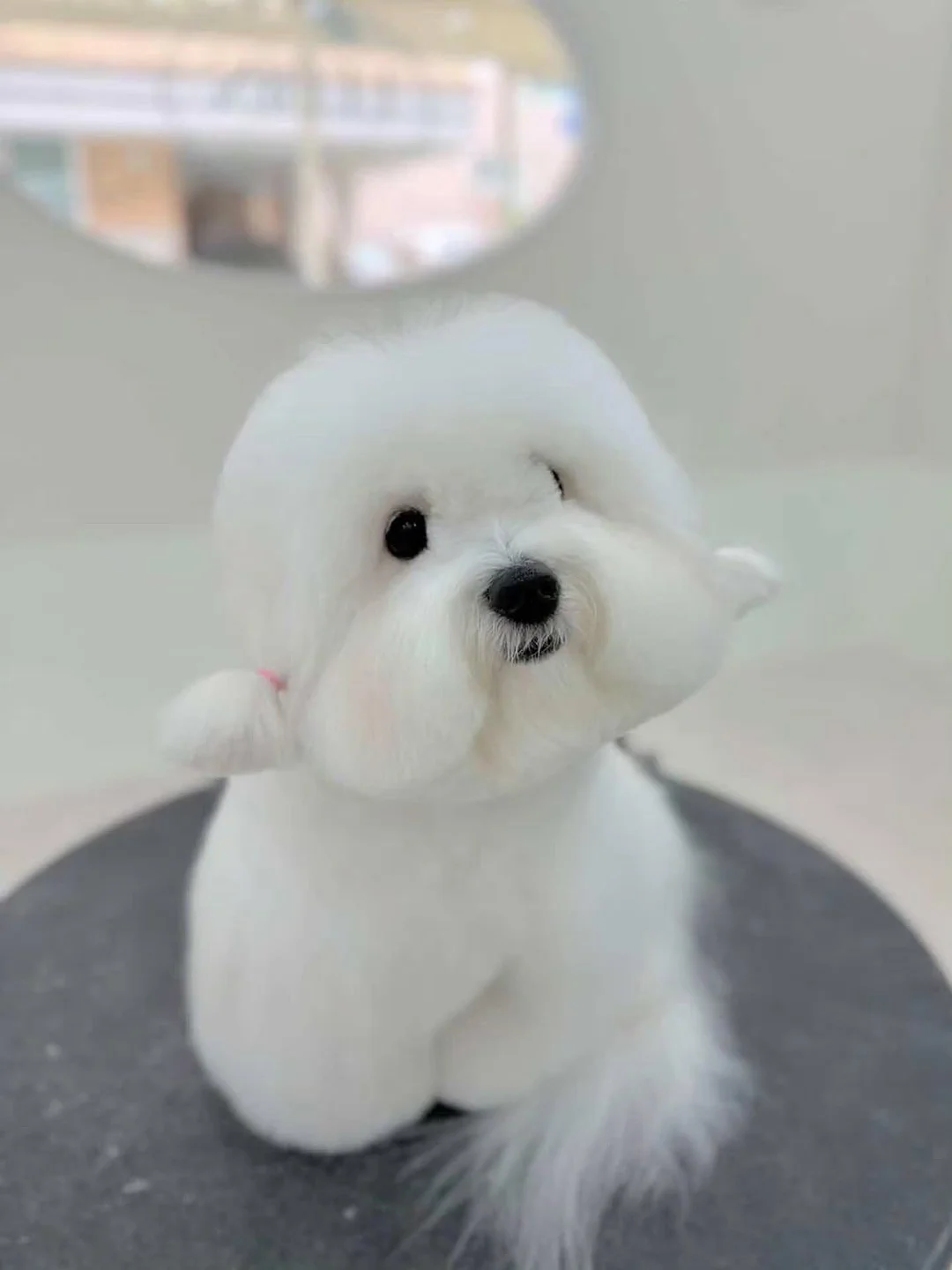 브리델 버터 쇼트브레드 쿠키 10
