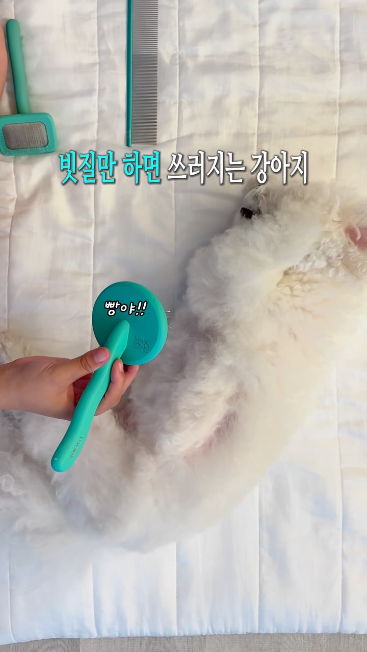 오다 카오리 특별전 노이즈가 말하기를