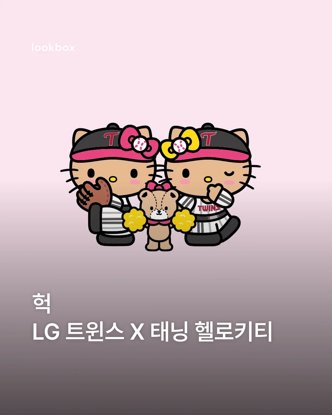 바스크치즈케이크 홀케이크