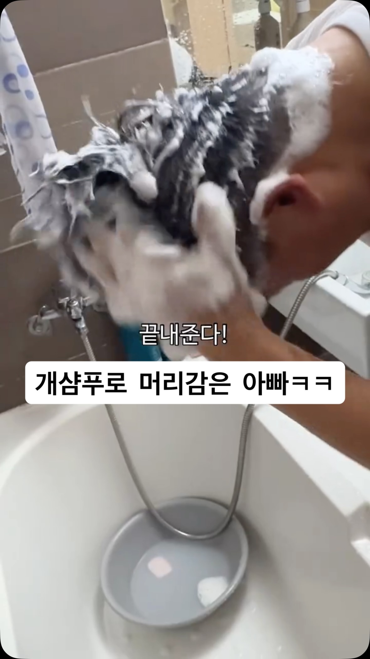 모기 패치
