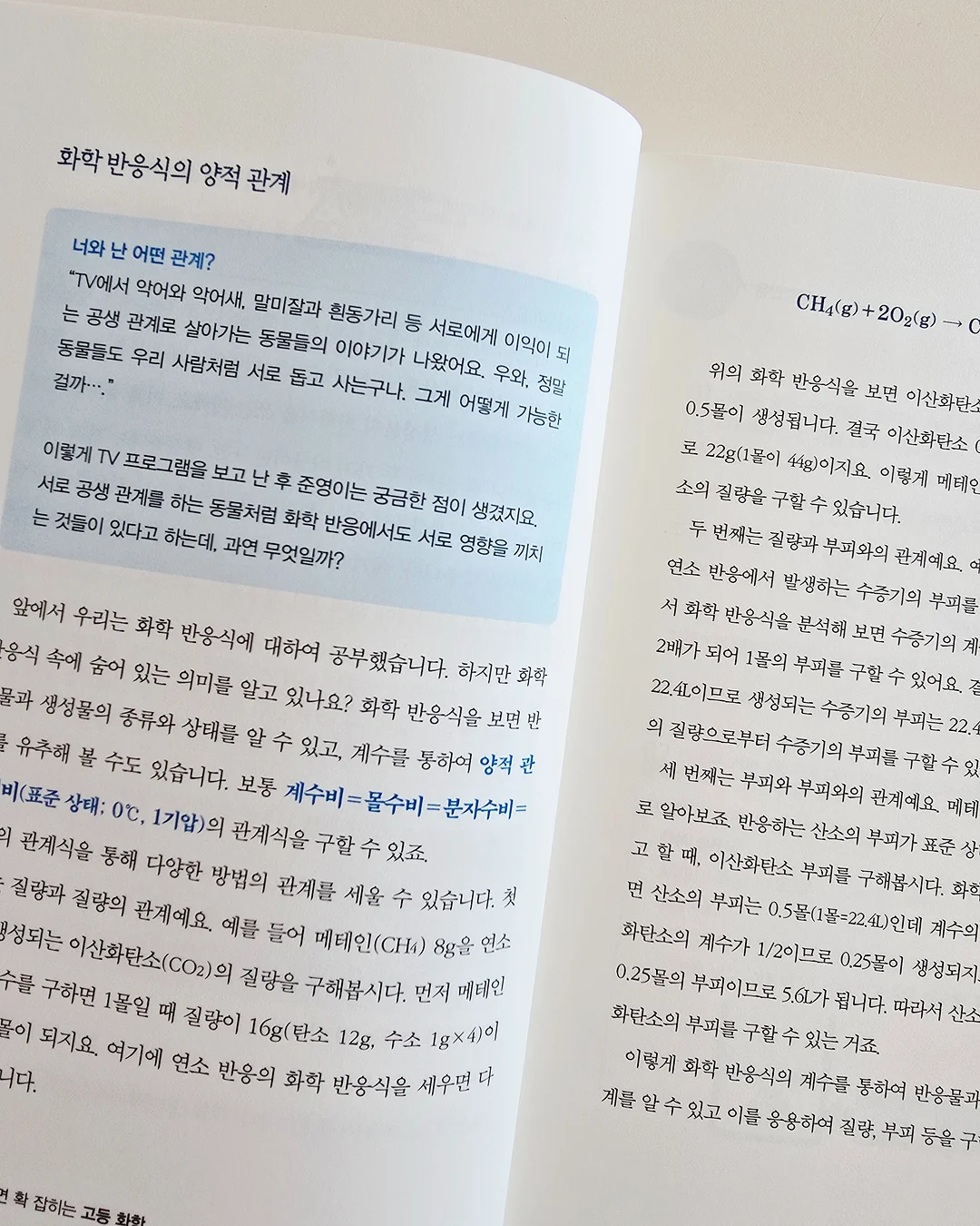 시스템장 10