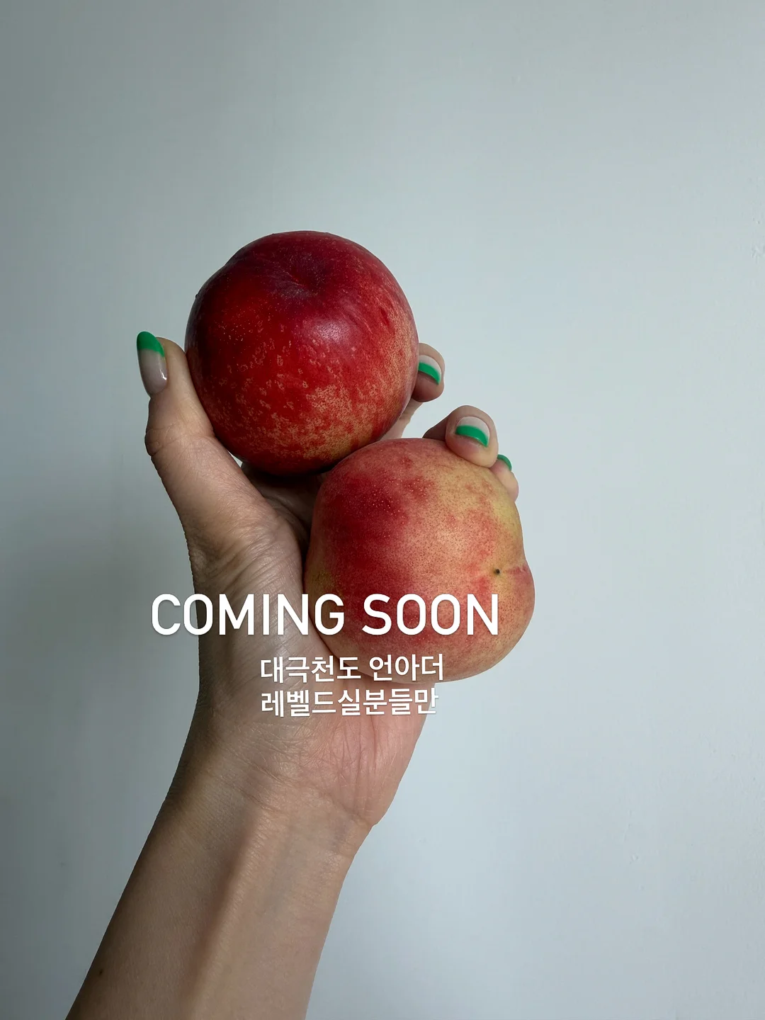 강아지 이동가방 카시트 4