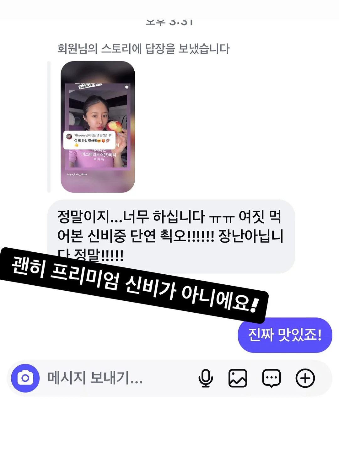 강아지 이동가방 카시트 6