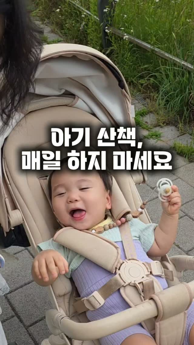완대 대품
