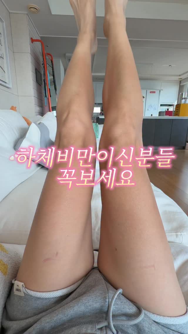 자이언트 장미