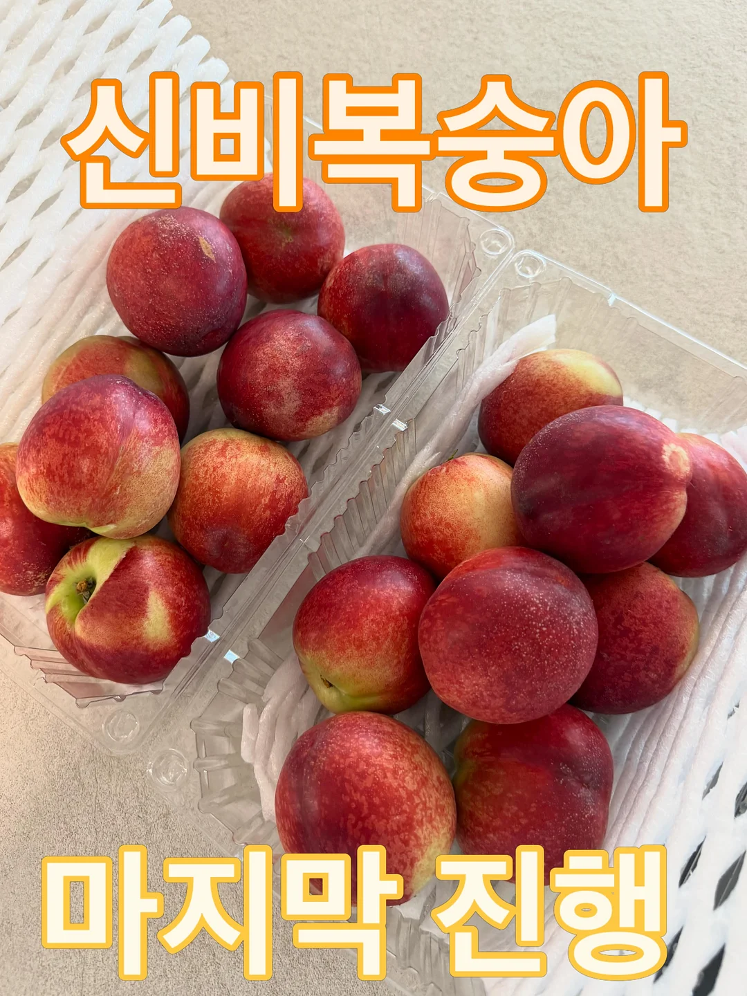 변호사 합격 축하 케이크 1