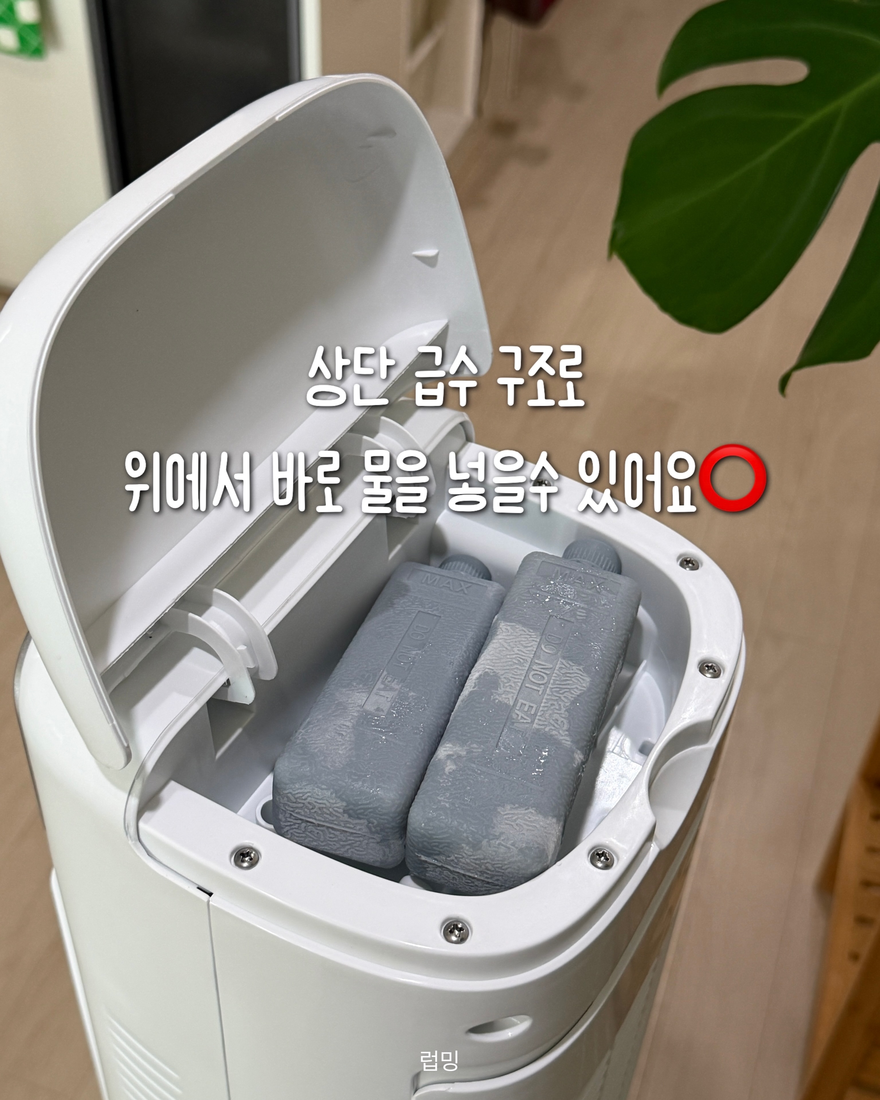 센치엘 블루 어린이 키 성장 영양제 5