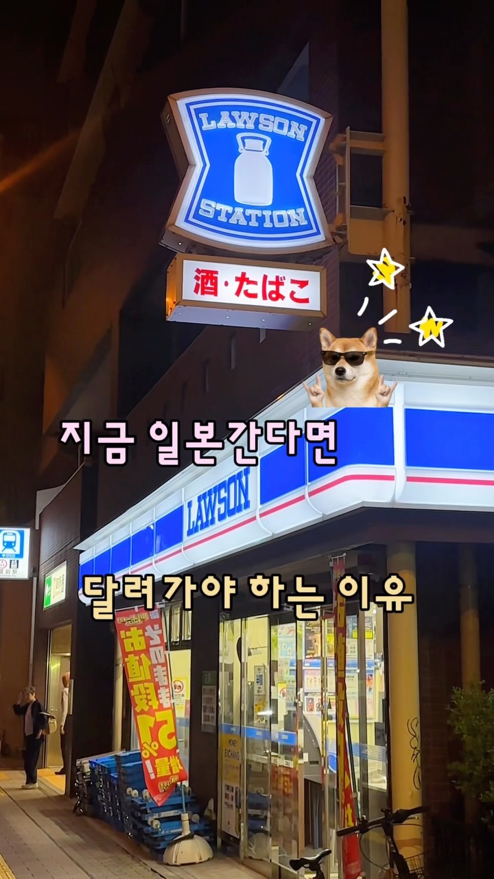 감비정